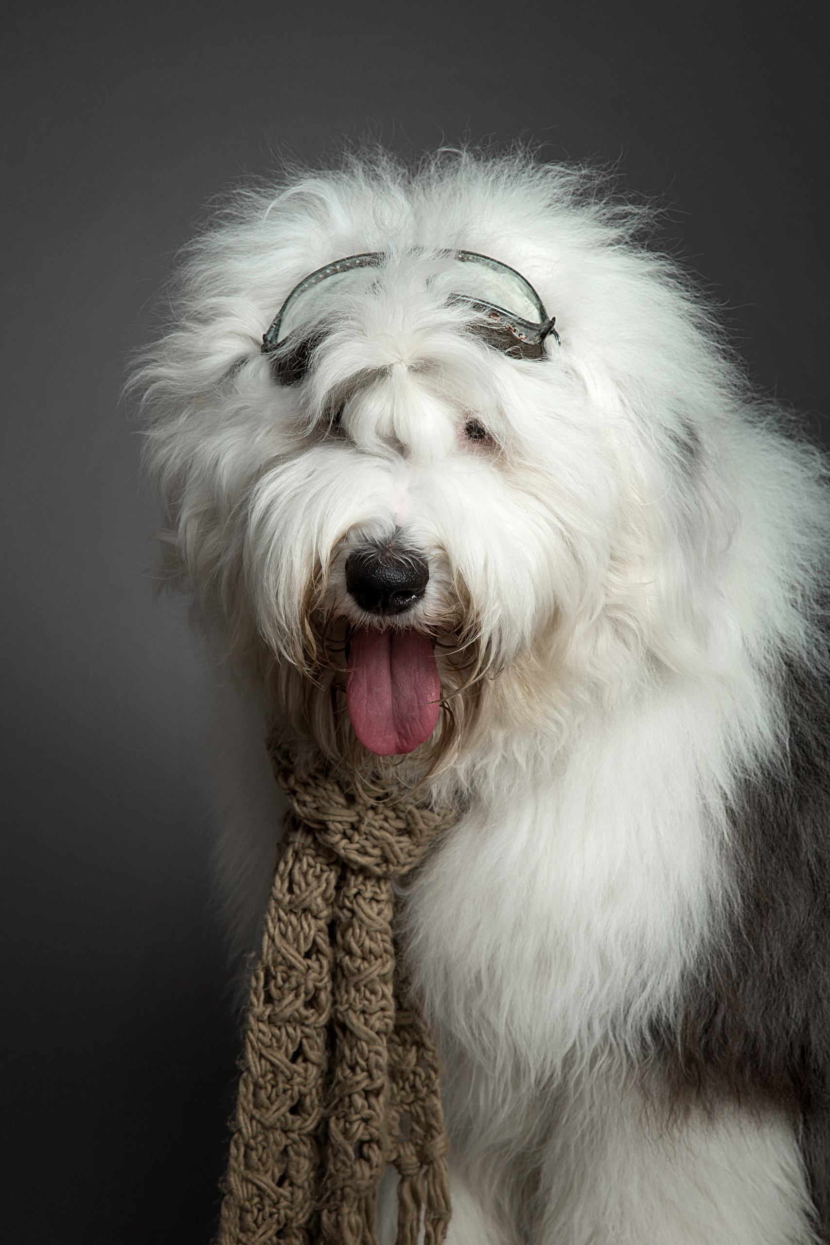 Winsent (5 фото). Фотограф в Таллине Виктория Баранова |фотосессии и обучение / Photographer Viktoria Baranova