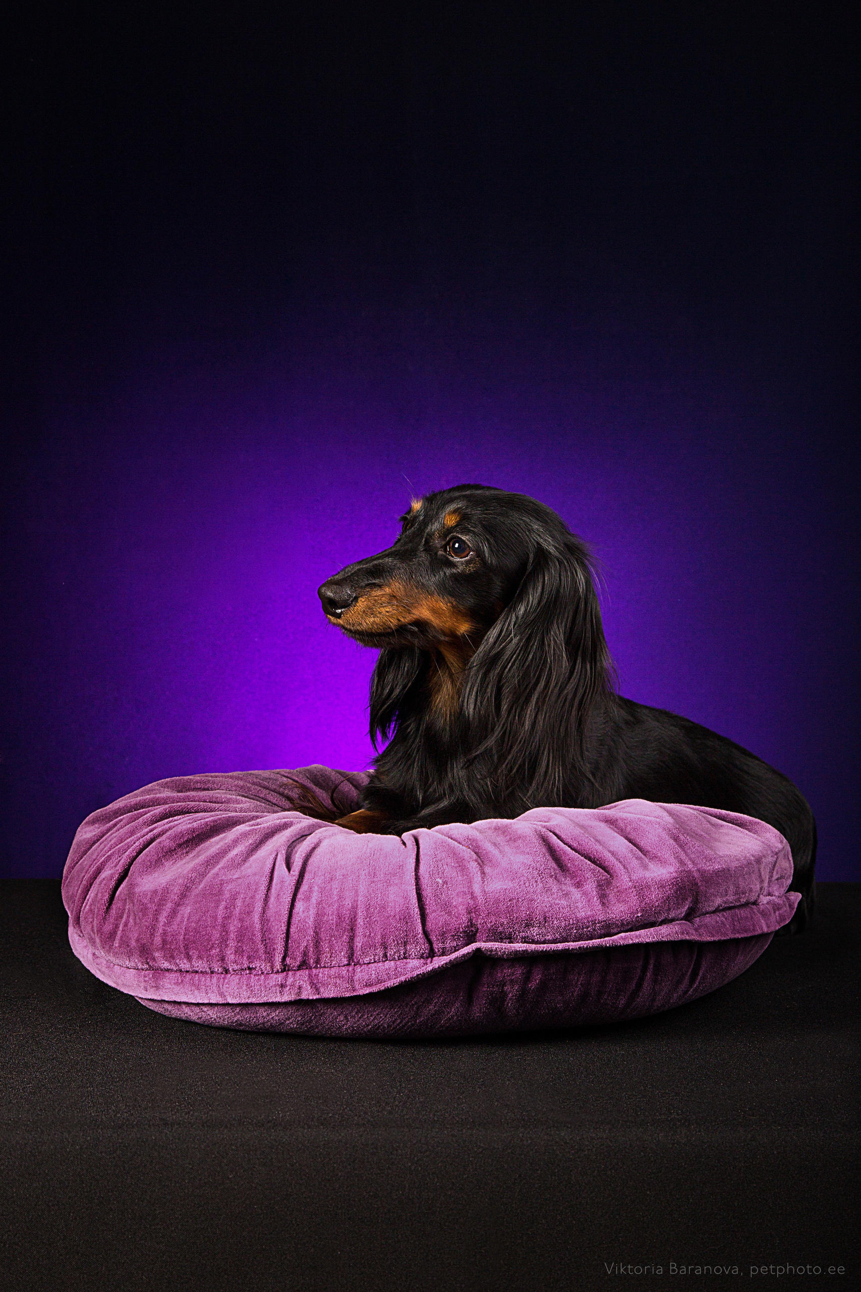 Vera (7 фото). Фотограф в Таллине Виктория Баранова |фотосессии и обучение / Photographer Viktoria Baranova