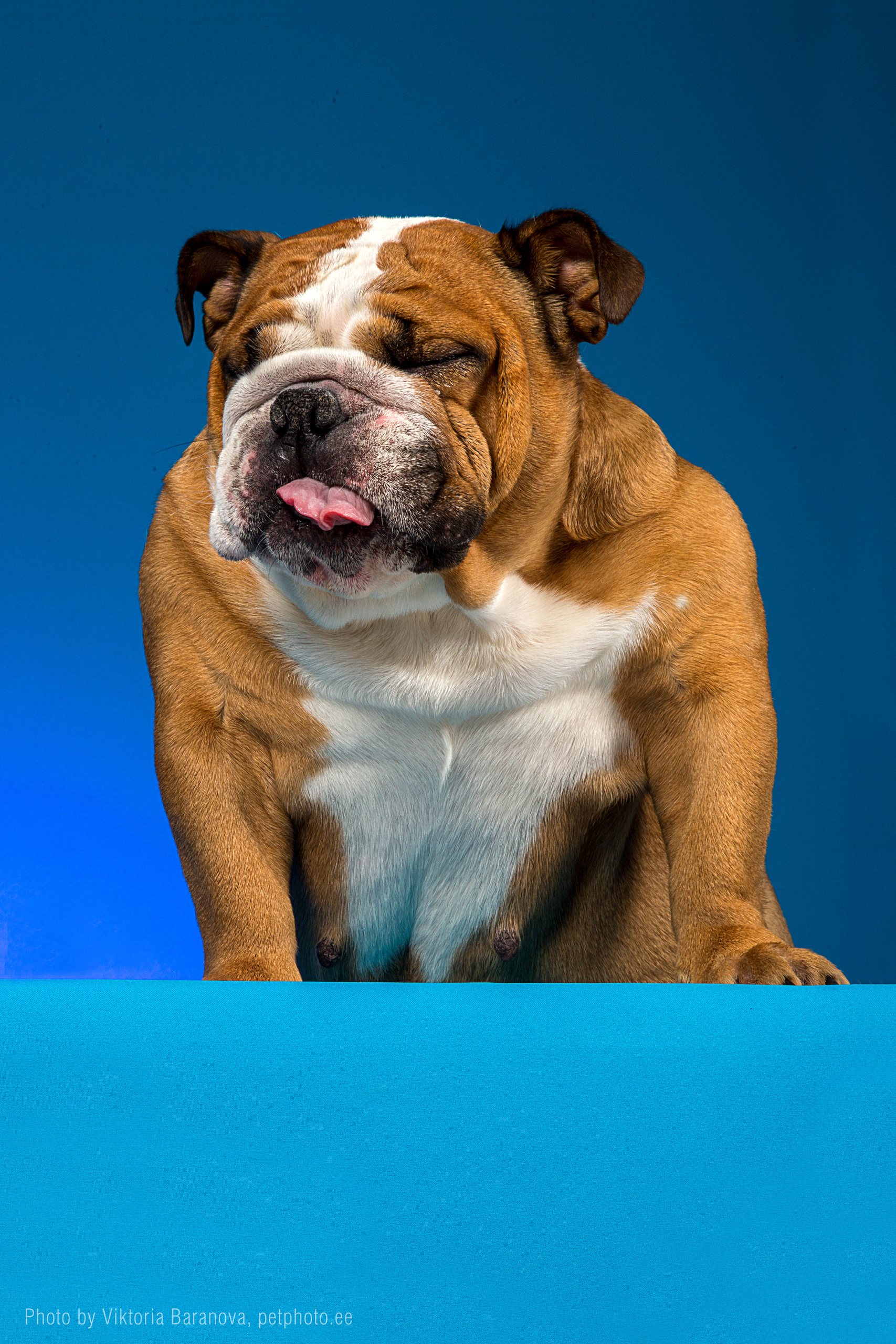 Kira. Фотограф в Таллине Виктория Баранова |фотосессии и обучение / Photographer Viktoria Baranova