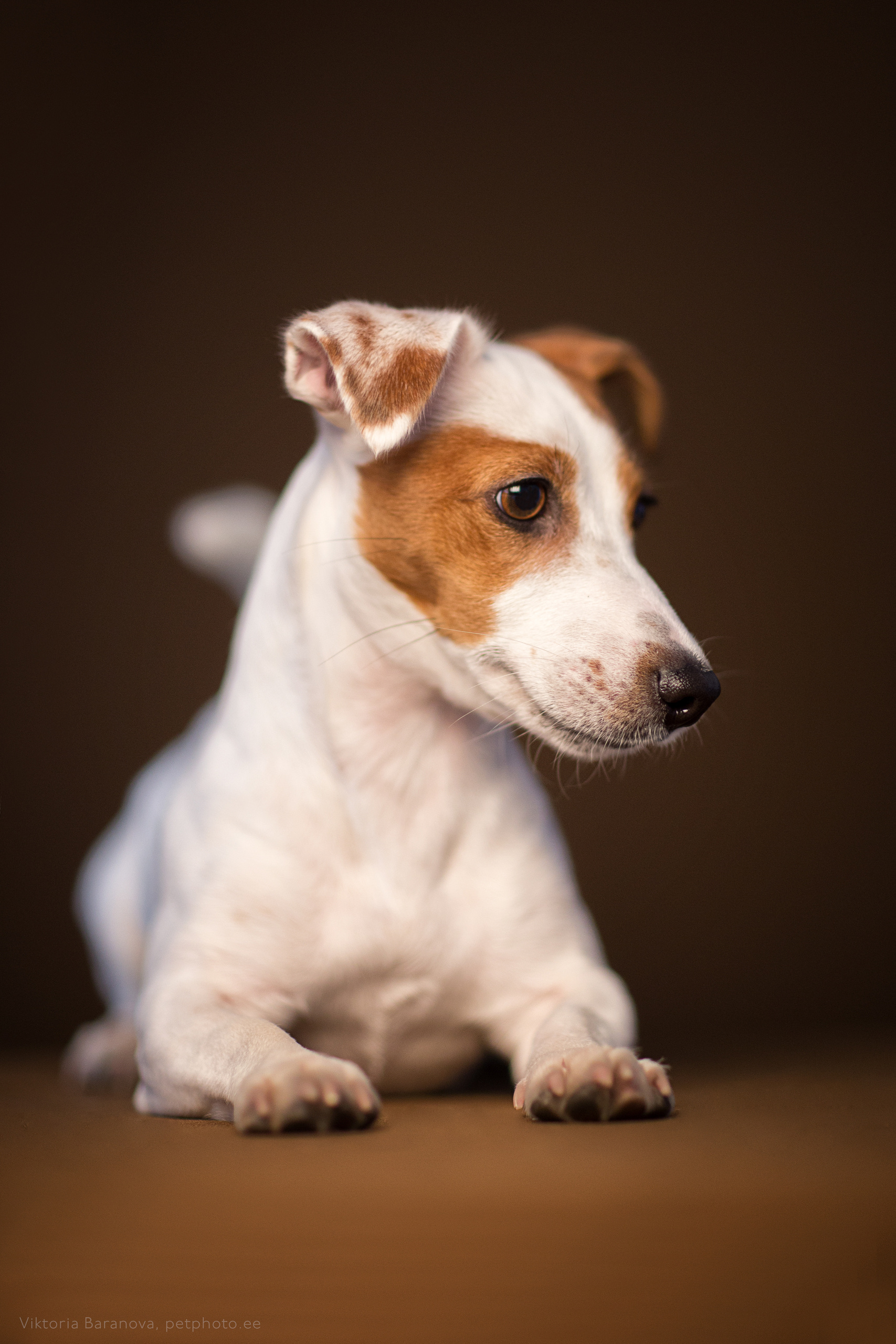 Dunjasha (4 фото). Фотограф в Таллине Виктория Баранова |фотосессии и обучение / Photographer Viktoria Baranova