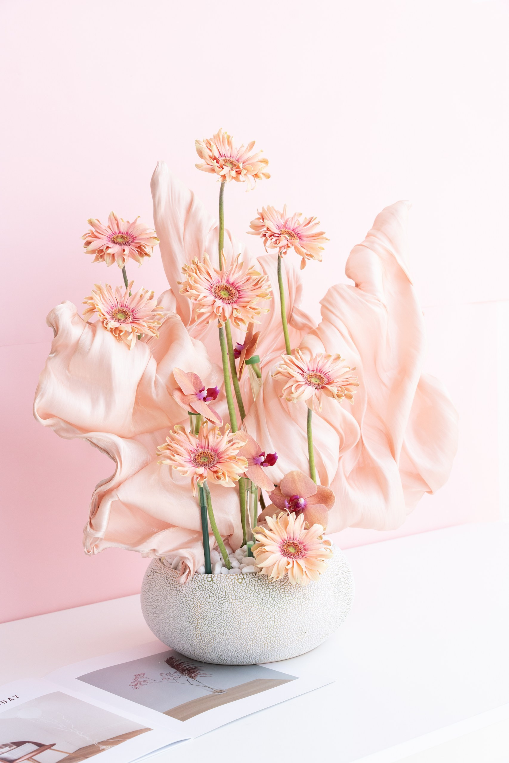 Soft pink floral decor in a minimal vase photographed for modern commercial content