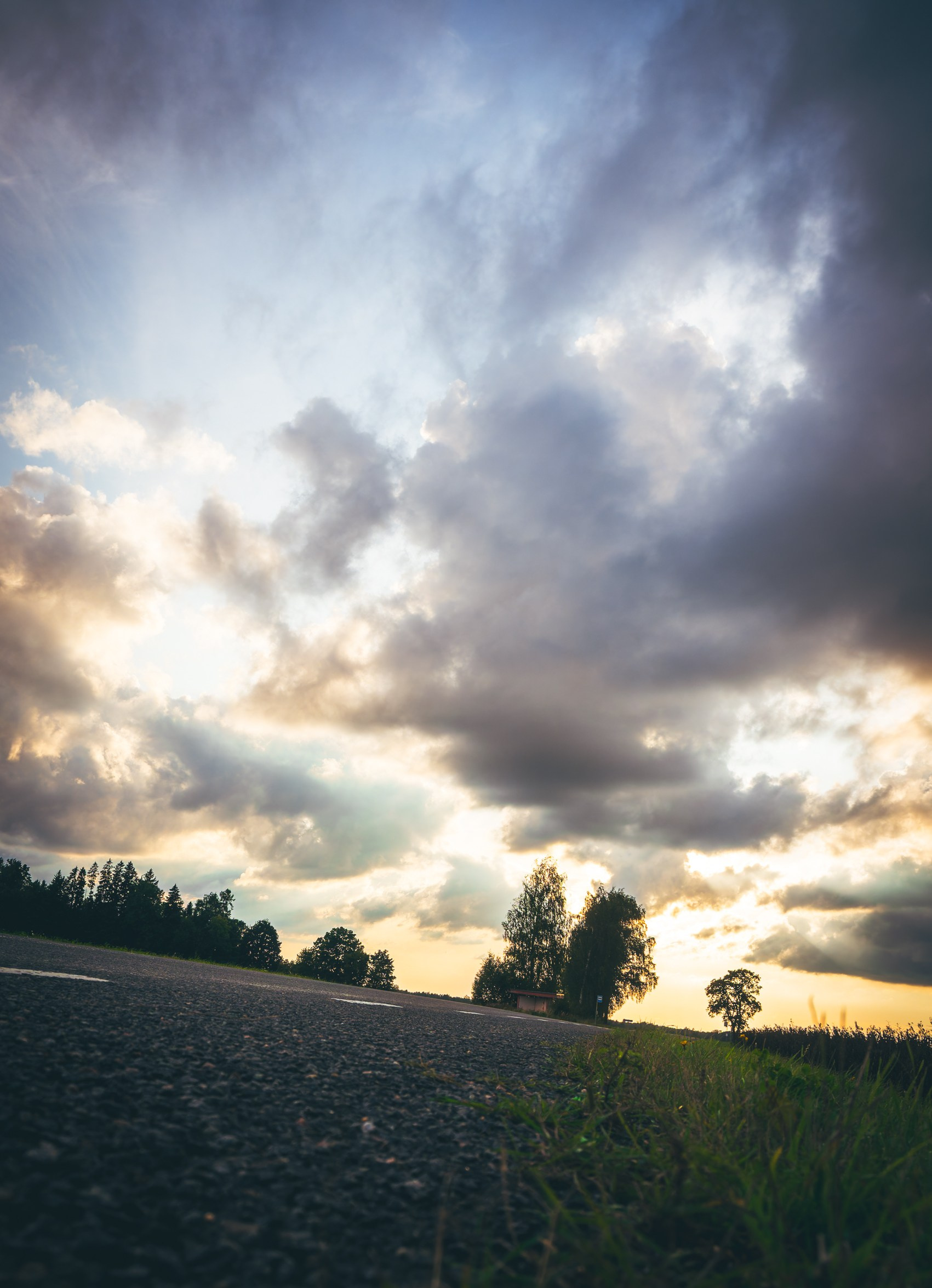 Nebula 25 — Фотографии для вашей души