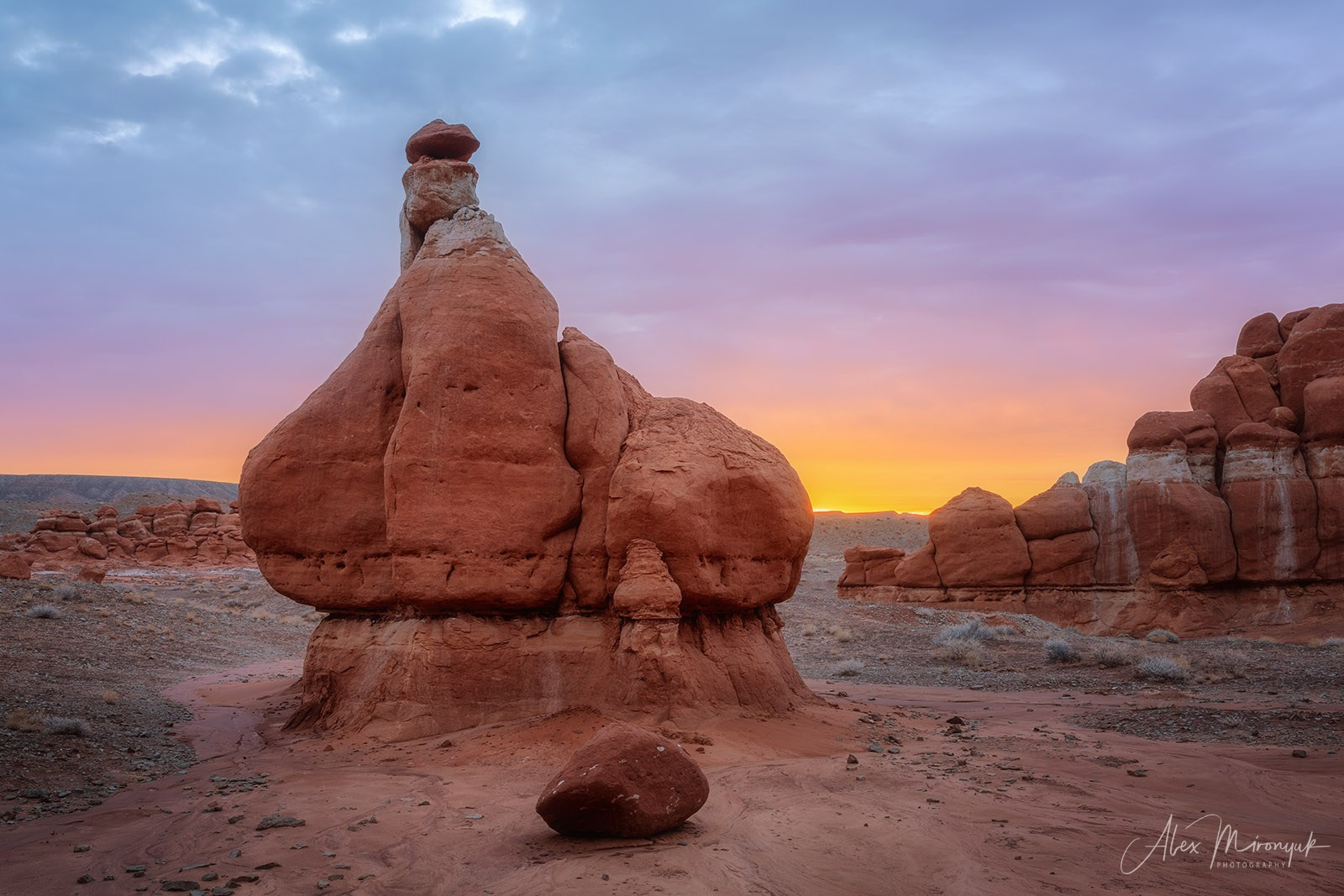 Eagle’s View: The American Southwest. Pet, Senior, Landscape, portrait studio, photographer in Miami and Sou