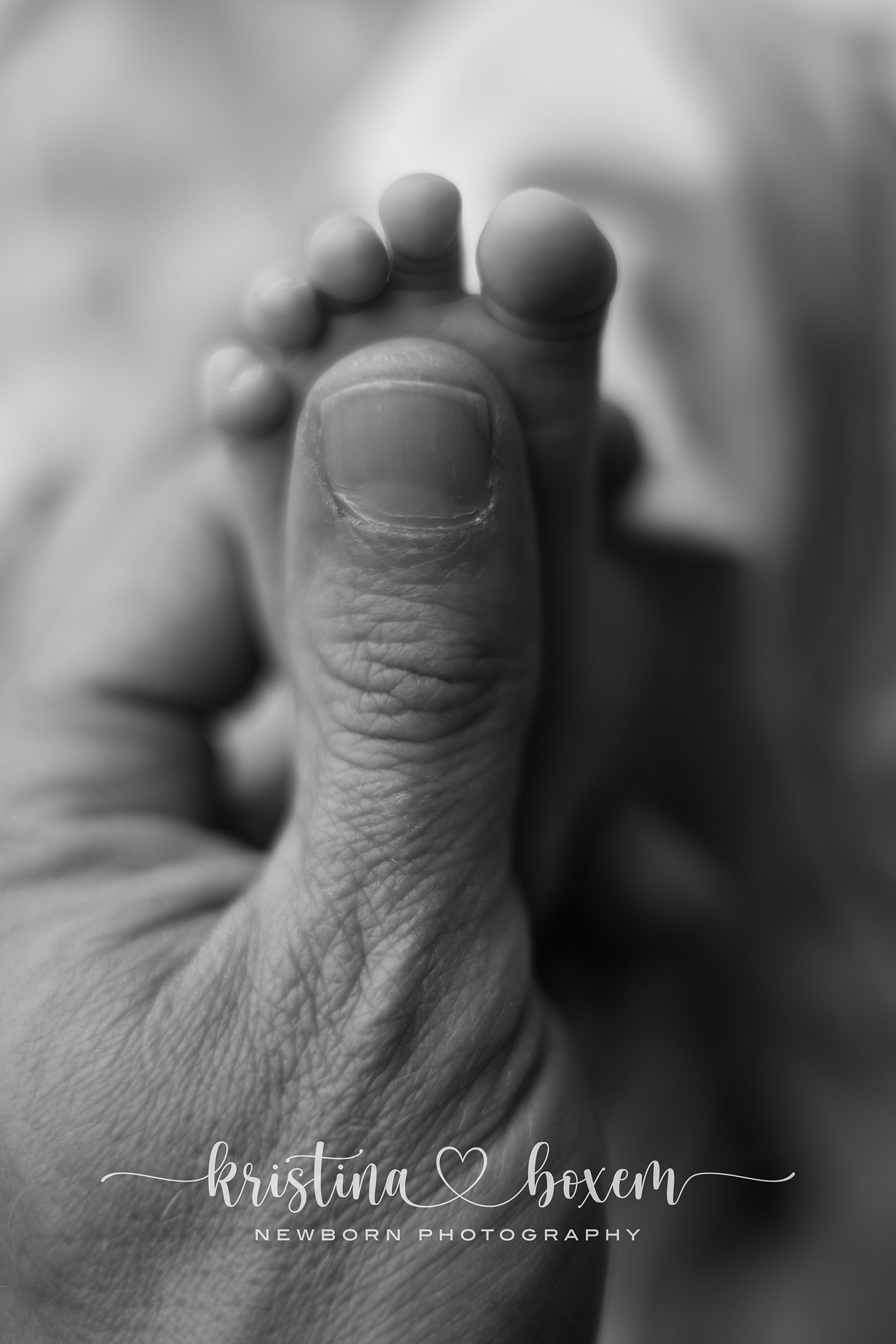 Close-up van schattige babyvoetjes van een pasgeboren baby tijdens een professionele newborn fotoshoot, met focus op pure details en zachte tinten.