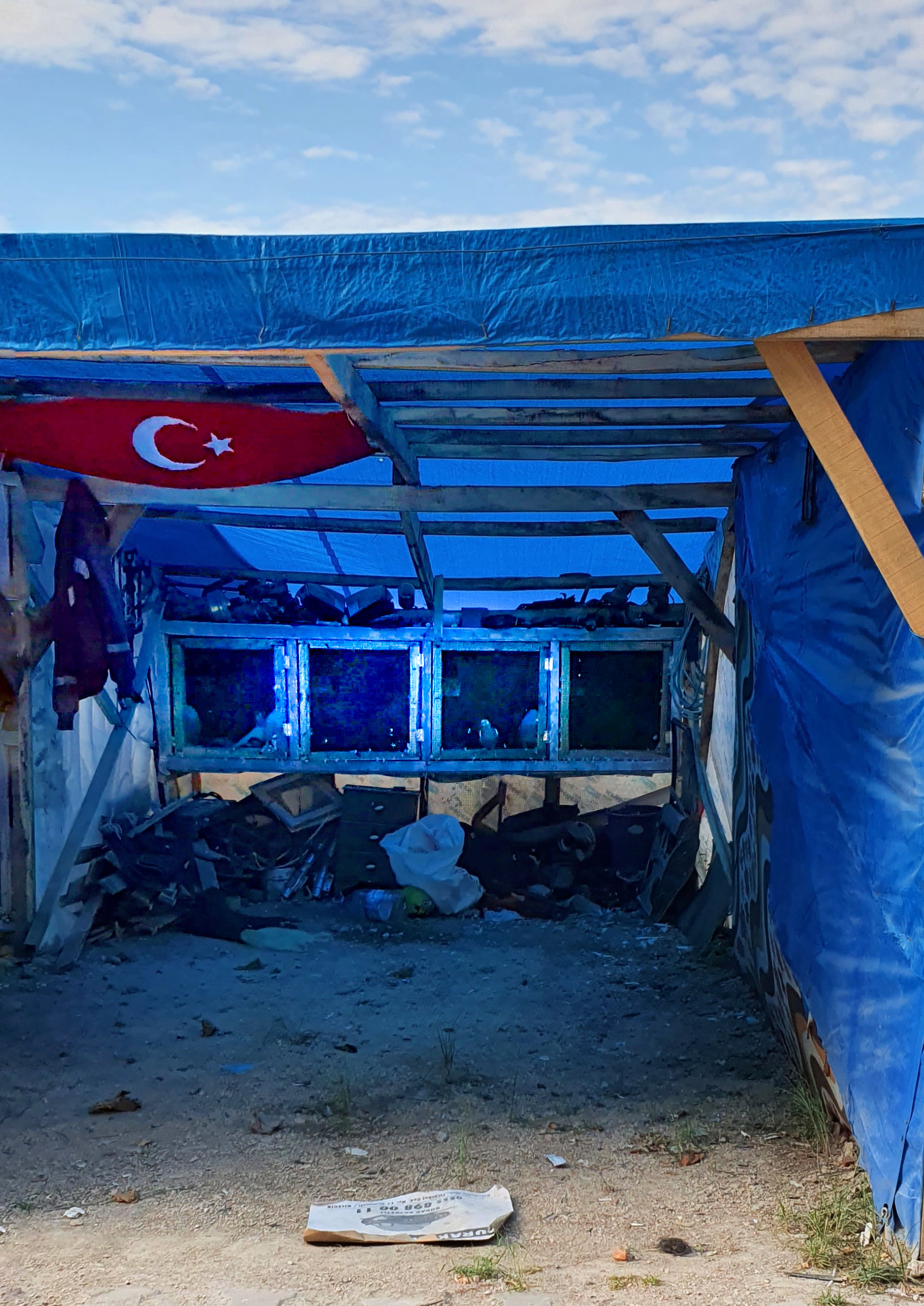 Street фото. Consultation on printing in various magazines, illustrations for books