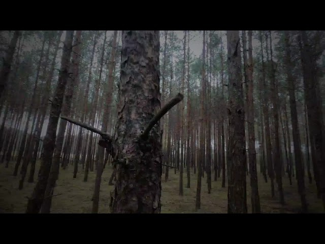 Dzięcioł |1:22|. Przemek P Kaczmarek
