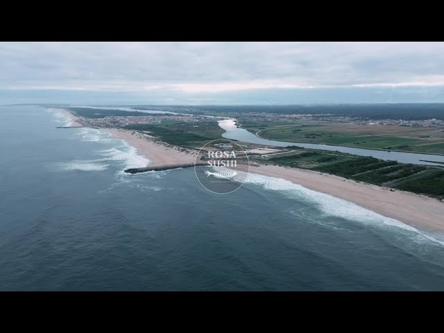 Produtora. ESTUDIO DOZE