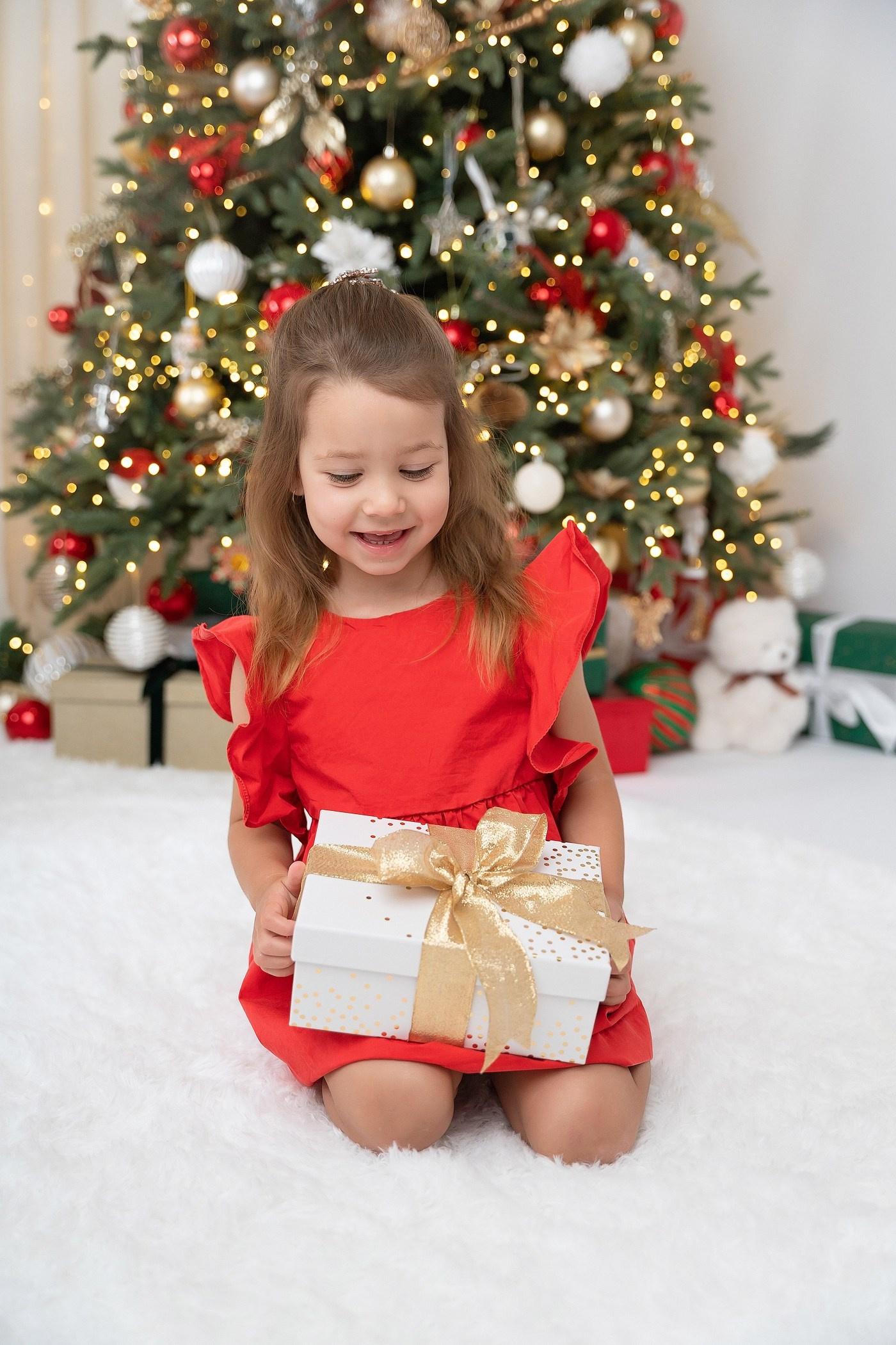 Christmas sessions in Sydney