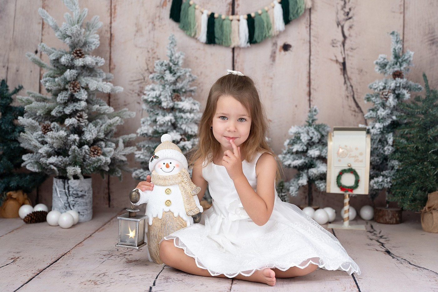 Christmas sessions in Sydney