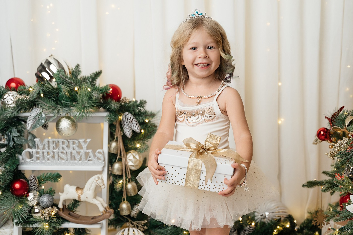 Christmas sessions in Sydney