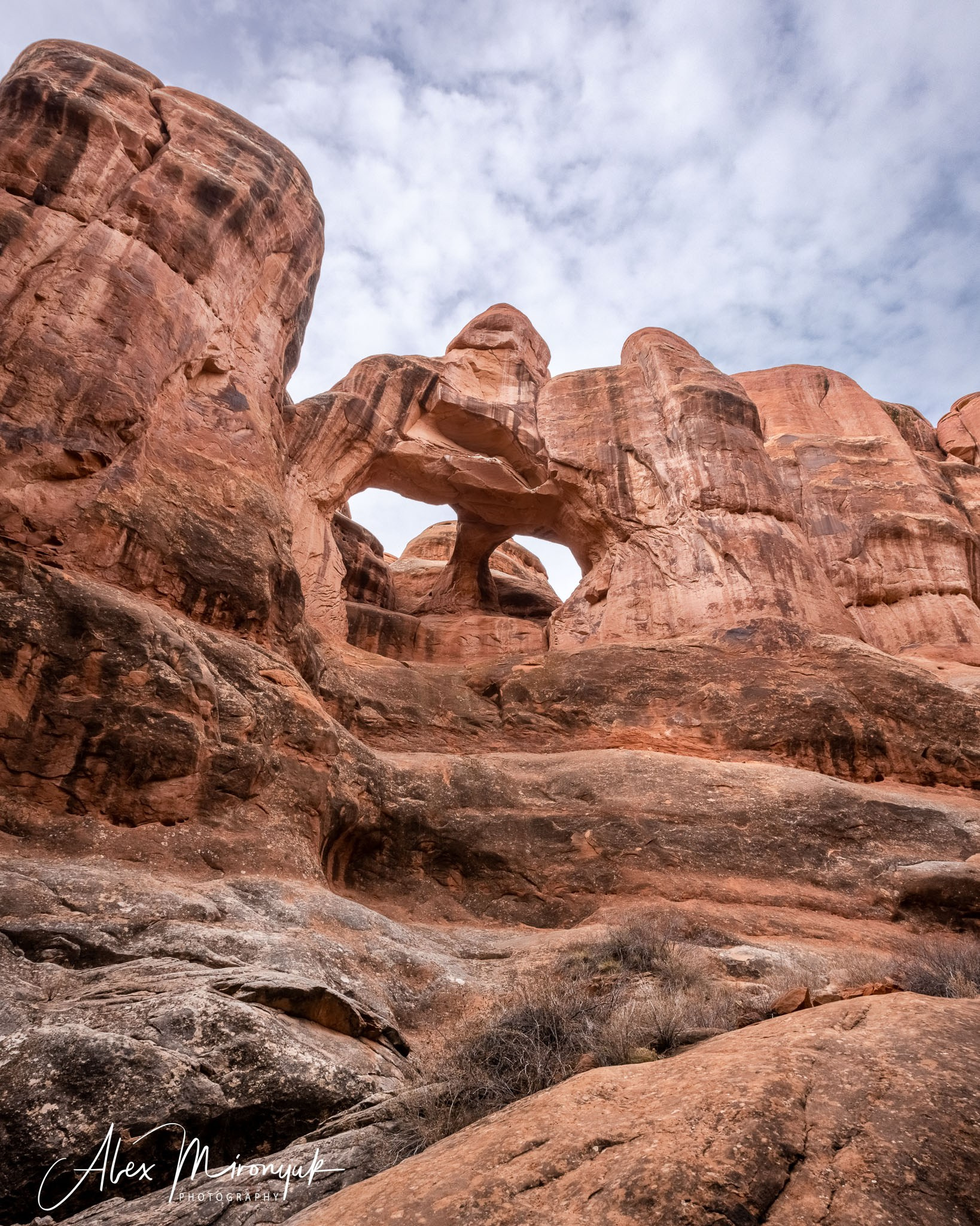 New Year In Utah. Pet, Senior, Landscape, portrait studio, photographer in Miami and Sou