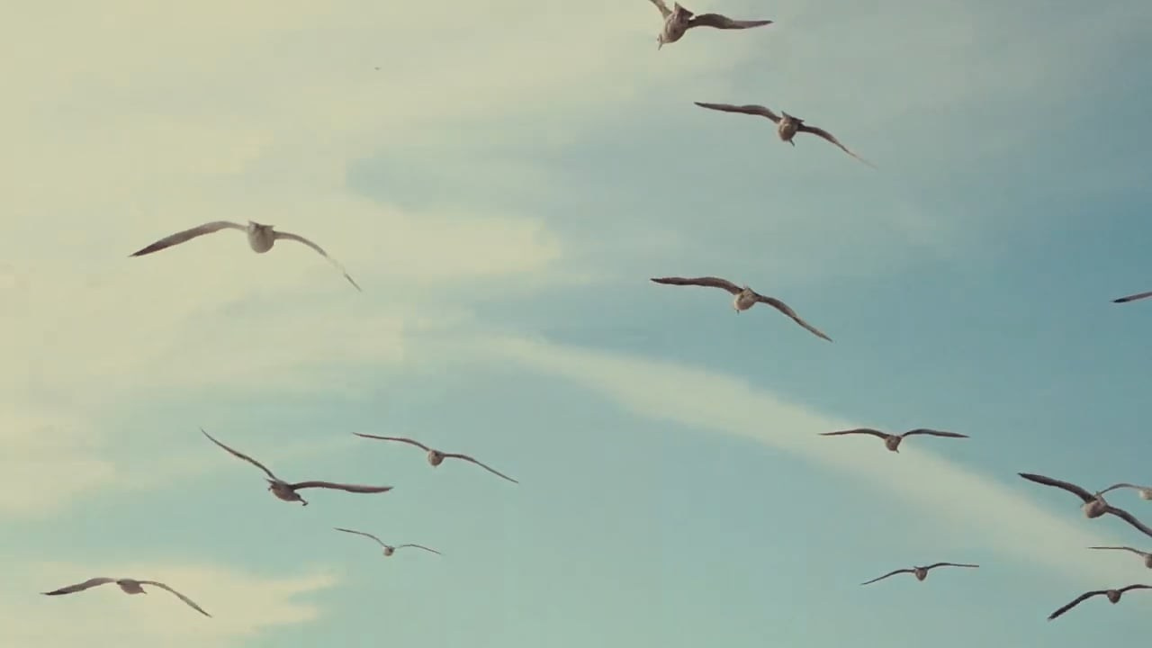 Wedding Videographer in Los Angeles & Orange County