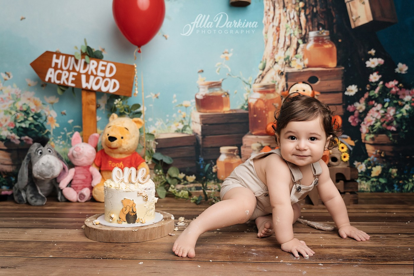 Arta’s “Winnie The Pooh” cake smash session