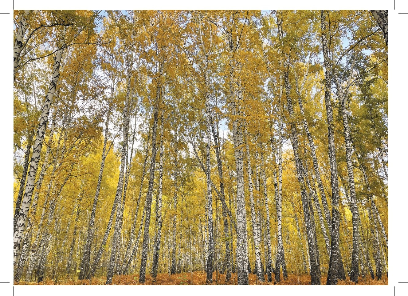 Малетина. DOCULAB — Лаборатория документальной фотографии в Берлине