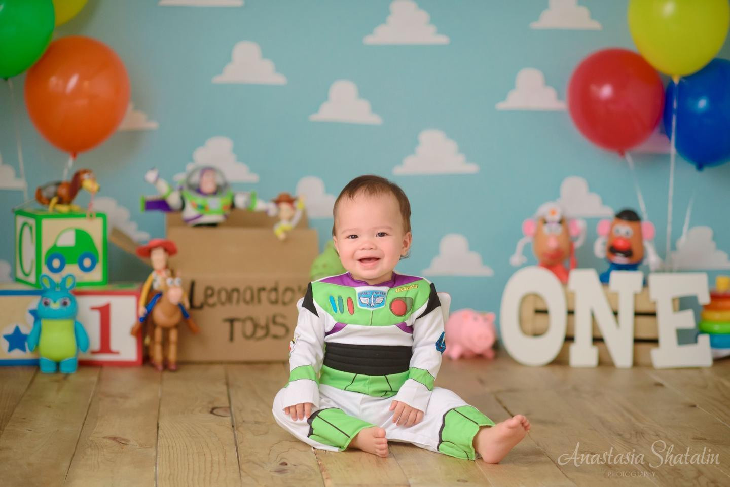 Toy story cake smash first Birthday photoshoot. Family photographer in Roseville, Rocklin, Folsom, Sacramento