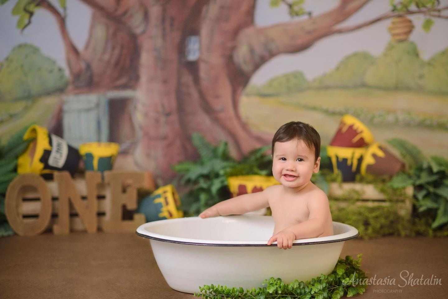 Winnie the pooh cake smash photographer Rocklin. Family photographer in Roseville, Rocklin, Folsom, Sacramento