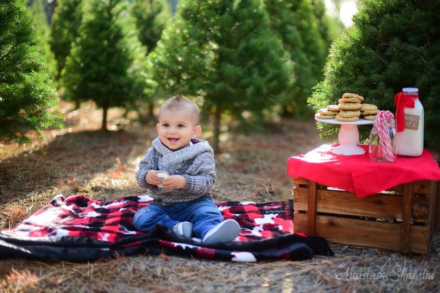 Christmas photography Roseville Christmas mini session Rocklin. Family photographer in Roseville, Rocklin, Folsom, Sacramento