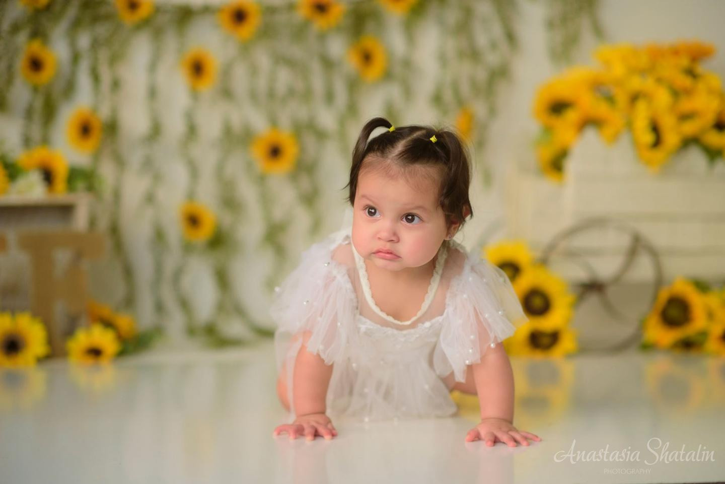 Sunflowers themed 1st birthday photos Roseville, Rocklin. Family photographer in Roseville, Rocklin, Folsom, Sacramento
