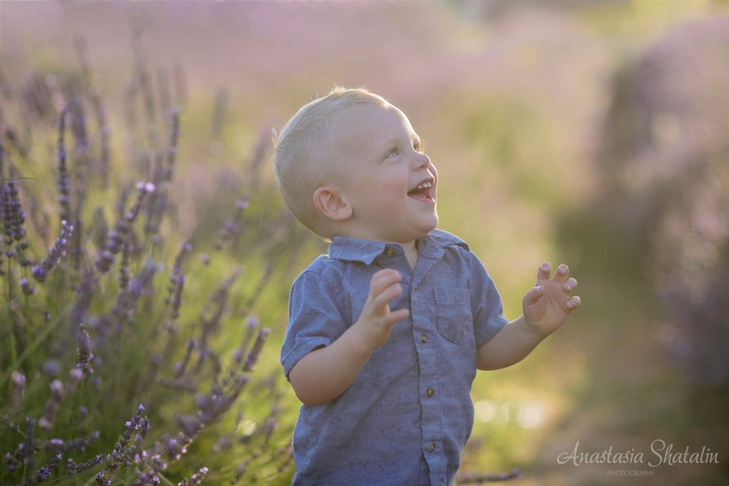 Summer family portrait photography Sacramento. Family photographer in Roseville, Rocklin, Folsom, Sacramento