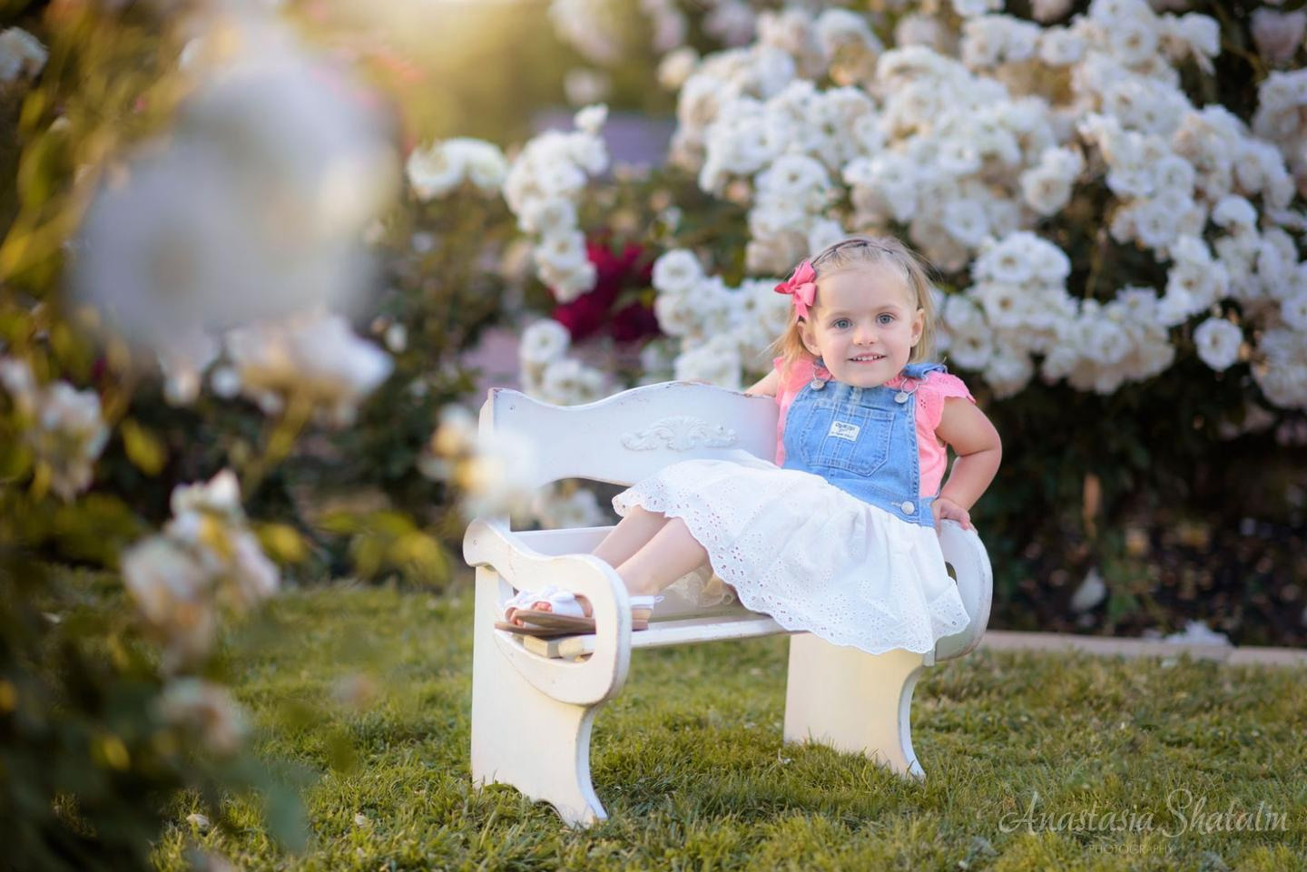 Rose garden photos Sacramento, Rocklin, Roseville. Family photographer in Roseville, Rocklin, Folsom, Sacramento