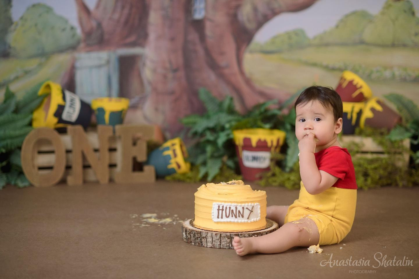 Winnie the pooh cake smash photographer Rocklin. Family photographer in Roseville, Rocklin, Folsom, Sacramento