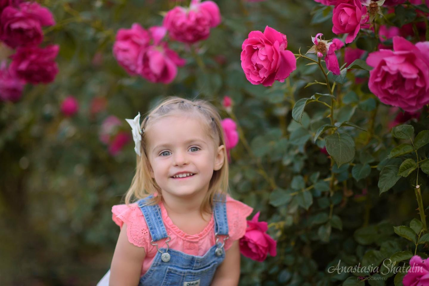 Rose garden photos Sacramento, Rocklin, Roseville. Family photographer in Roseville, Rocklin, Folsom, Sacramento