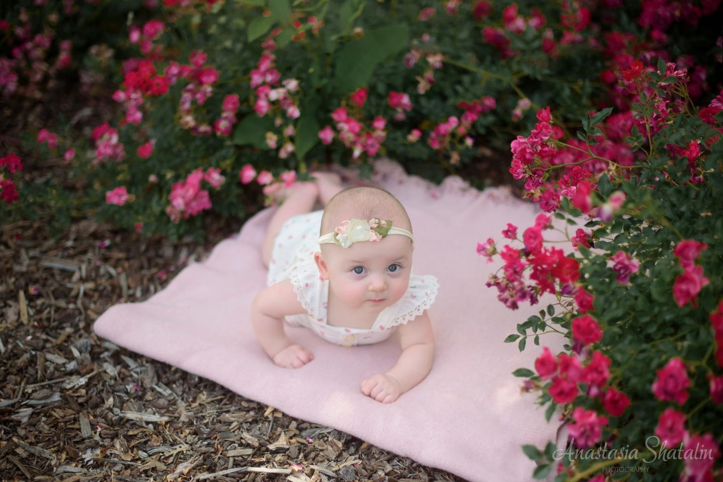 Baby infant photographer Rocklin Roseville Sacramento. Family photographer in Roseville, Rocklin, Folsom, Sacramento