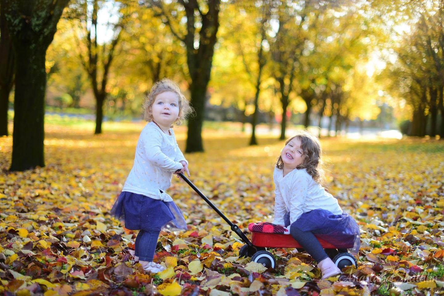 Fall family photographer in Rocklin, CA. Family photographer in Roseville, Rocklin, Folsom, Sacramento