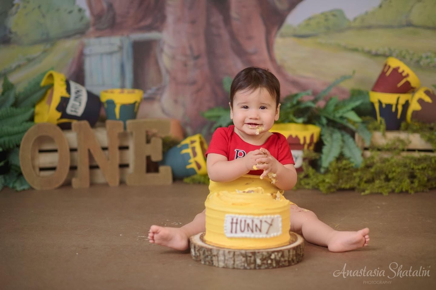 Winnie the pooh cake smash photographer Rocklin. Family photographer in Roseville, Rocklin, Folsom, Sacramento