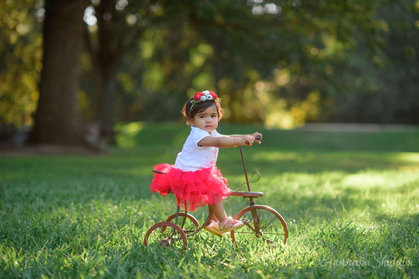 Family and birthday photos Roseville. Family photographer in Roseville, Rocklin, Folsom, Sacramento