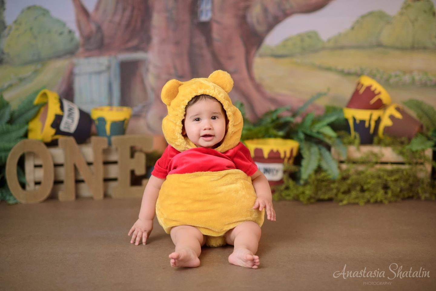 Winnie the pooh cake smash photographer Rocklin. Family photographer in Roseville, Rocklin, Folsom, Sacramento