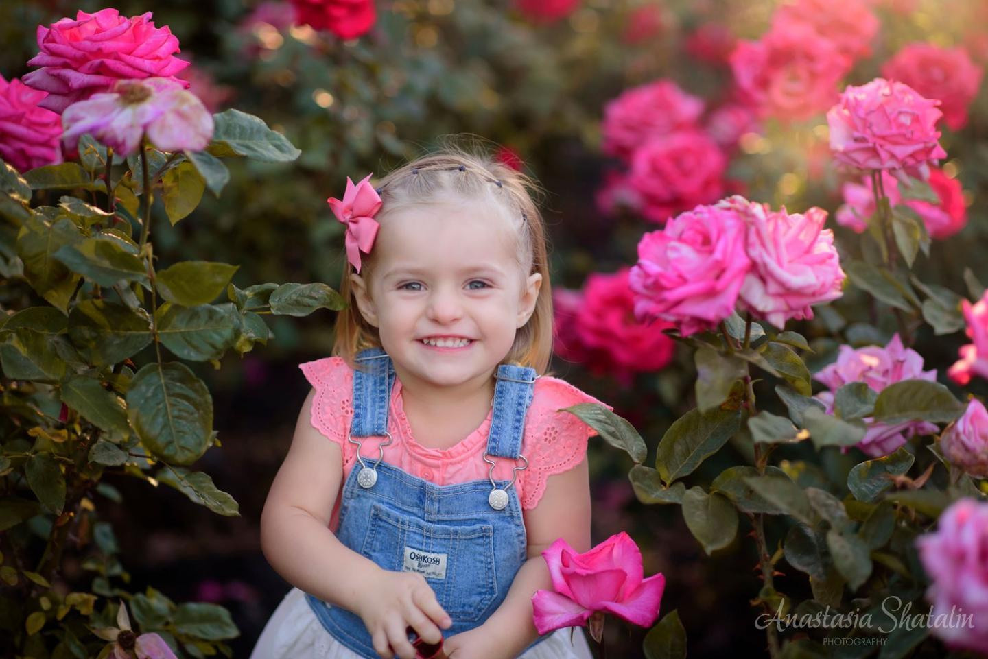 Rose garden photos Sacramento, Rocklin, Roseville. Family photographer in Roseville, Rocklin, Folsom, Sacramento