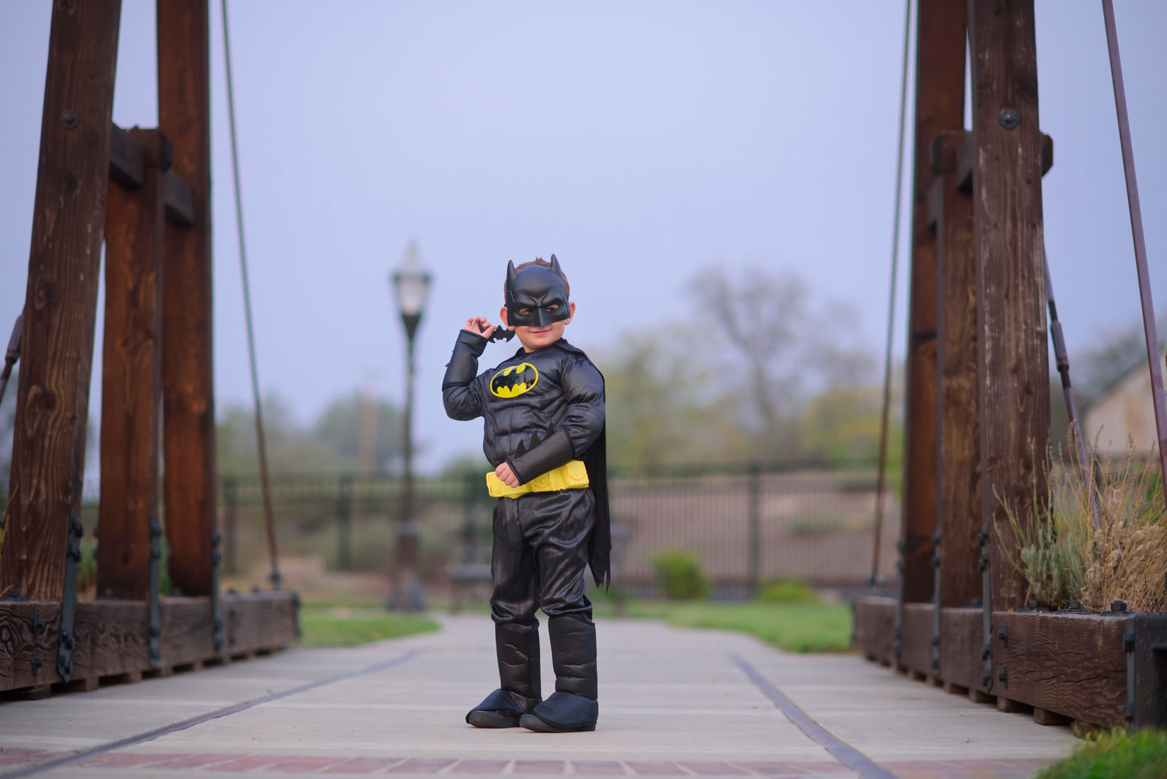 Superheroes boy birthday photo ideas. Family photographer in Roseville, Rocklin, Folsom, Sacramento