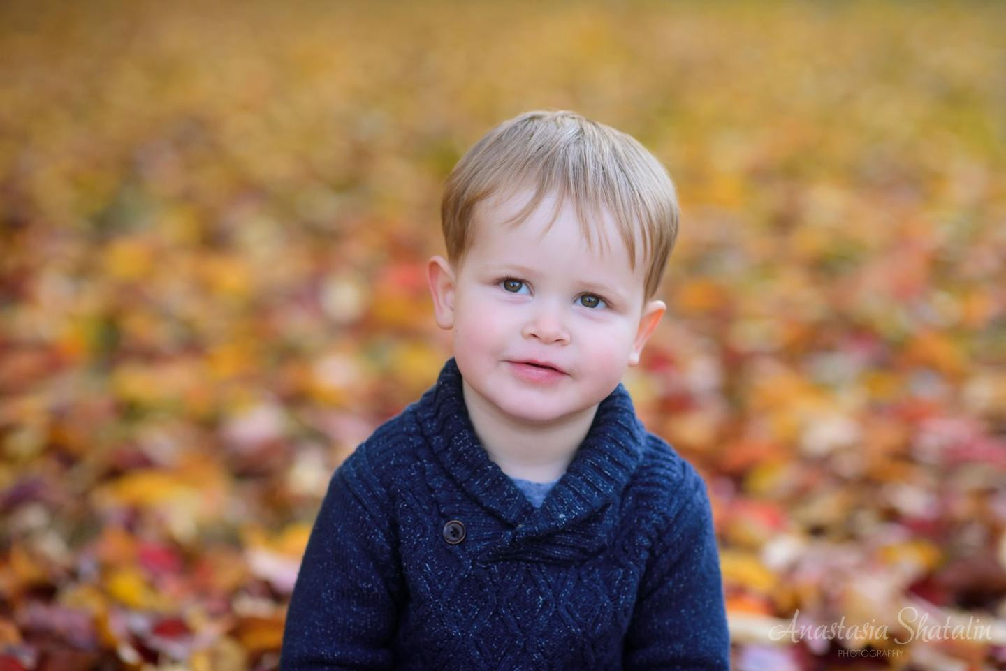 Autumn family photographer Roseville, Rocklin, Sacramento, granite bay Folsom. Family photographer in Roseville, Rocklin, Folsom, Sacramento