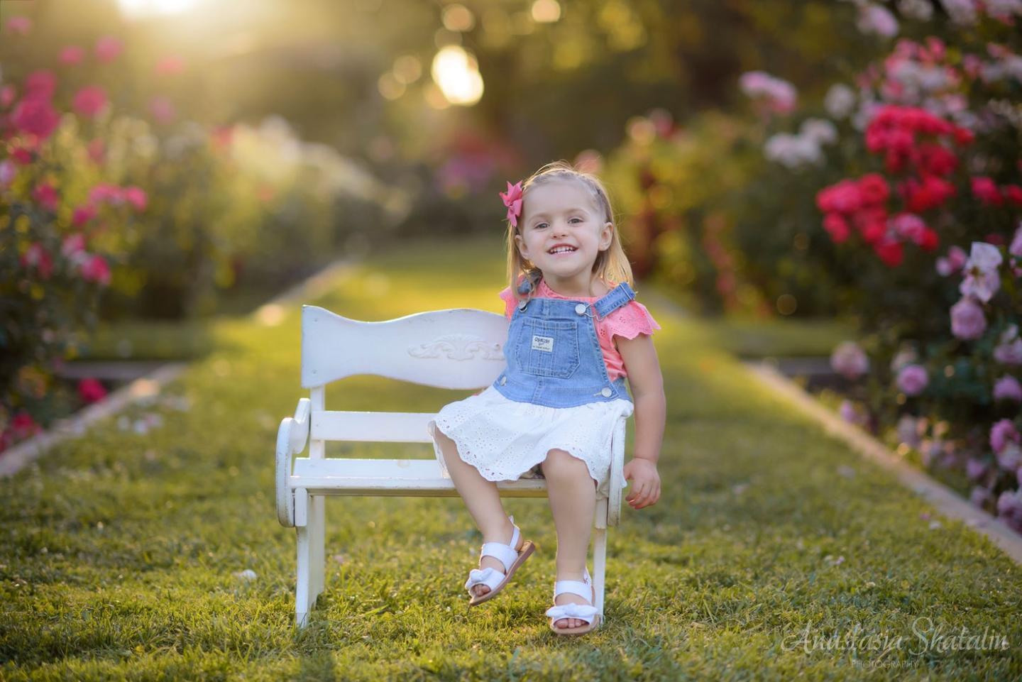 Rose garden photos Sacramento, Rocklin, Roseville. Family photographer in Roseville, Rocklin, Folsom, Sacramento