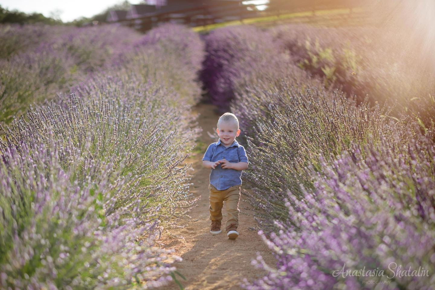 Summer family portrait photography Sacramento. Family photographer in Roseville, Rocklin, Folsom, Sacramento