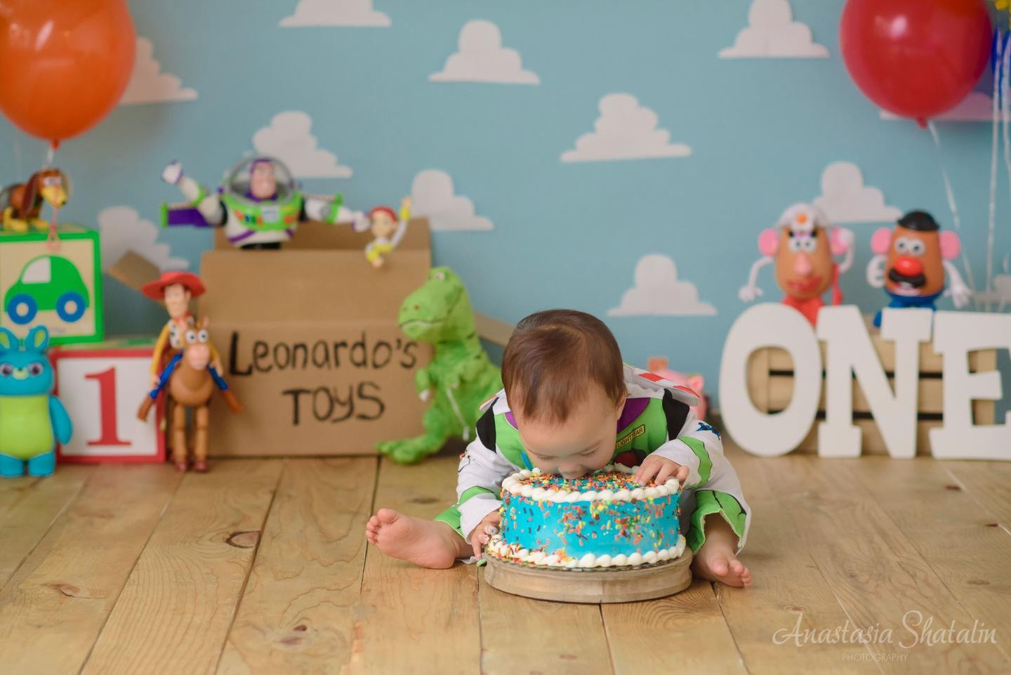 Toy story cake smash first Birthday photoshoot. Family photographer in Roseville, Rocklin, Folsom, Sacramento