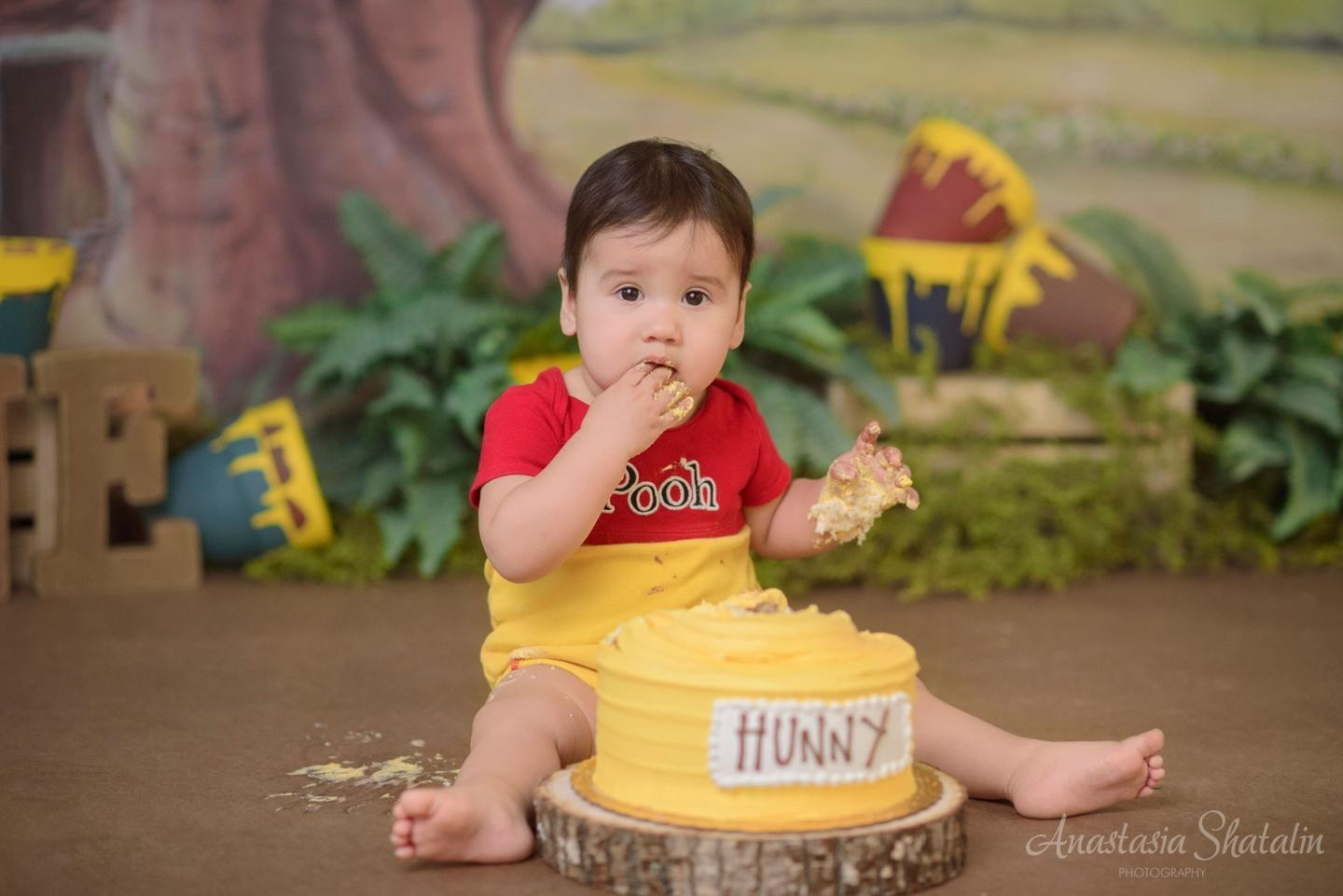 Winnie the pooh cake smash photographer Rocklin. Family photographer in Roseville, Rocklin, Folsom, Sacramento