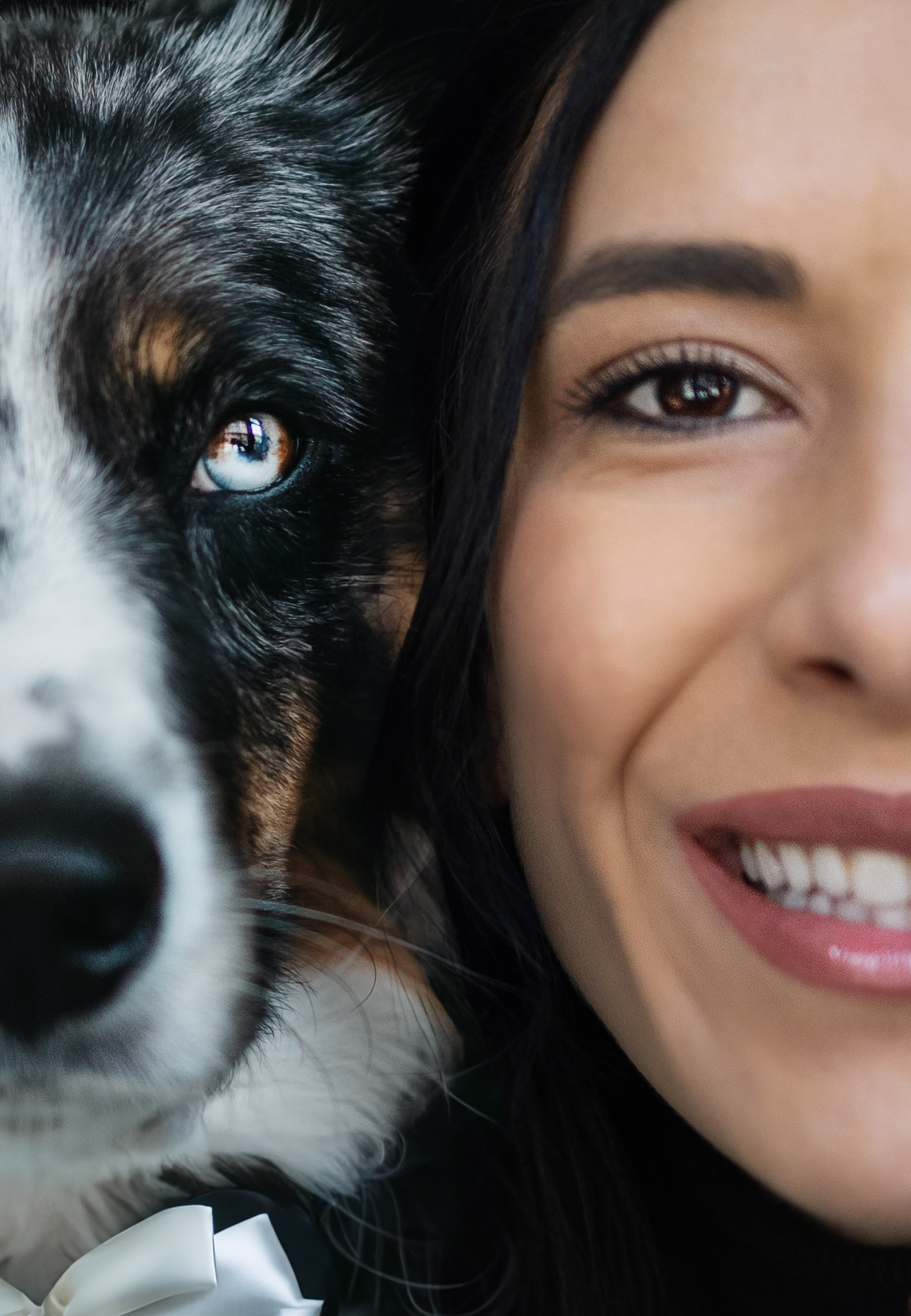 Pet Photographer Viktoriya Aleshenko