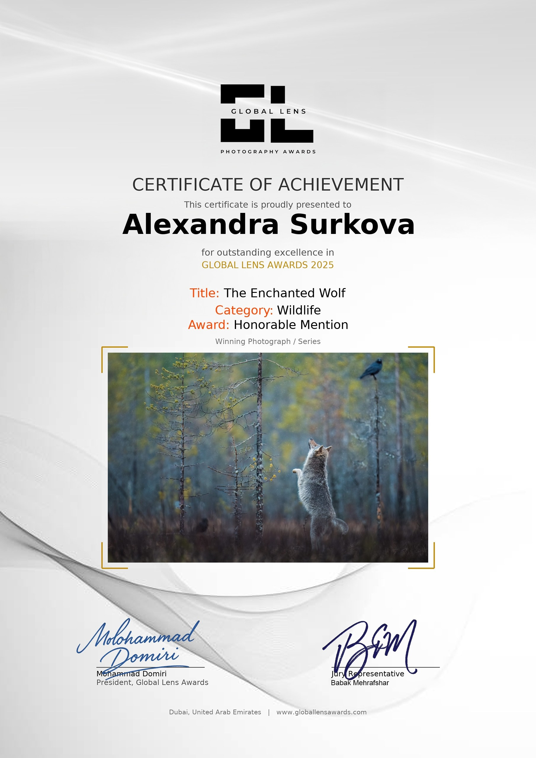 ABOUT. Fine art wildlife photographer Alexandra Surkova