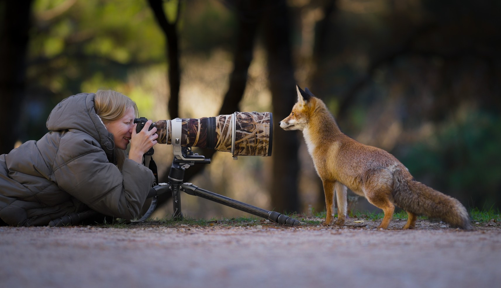 ABOUT. Fine art wildlife photographer Alexandra Surkova