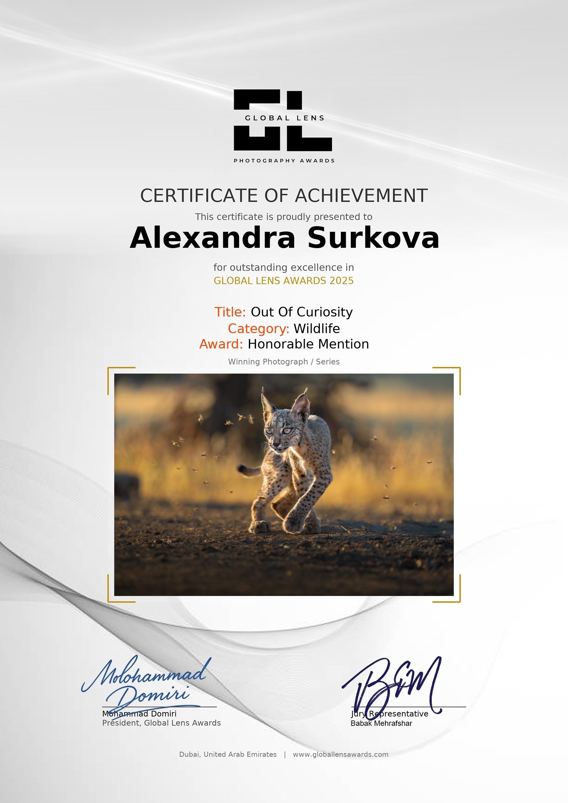 ABOUT. Fine art wildlife photographer Alexandra Surkova