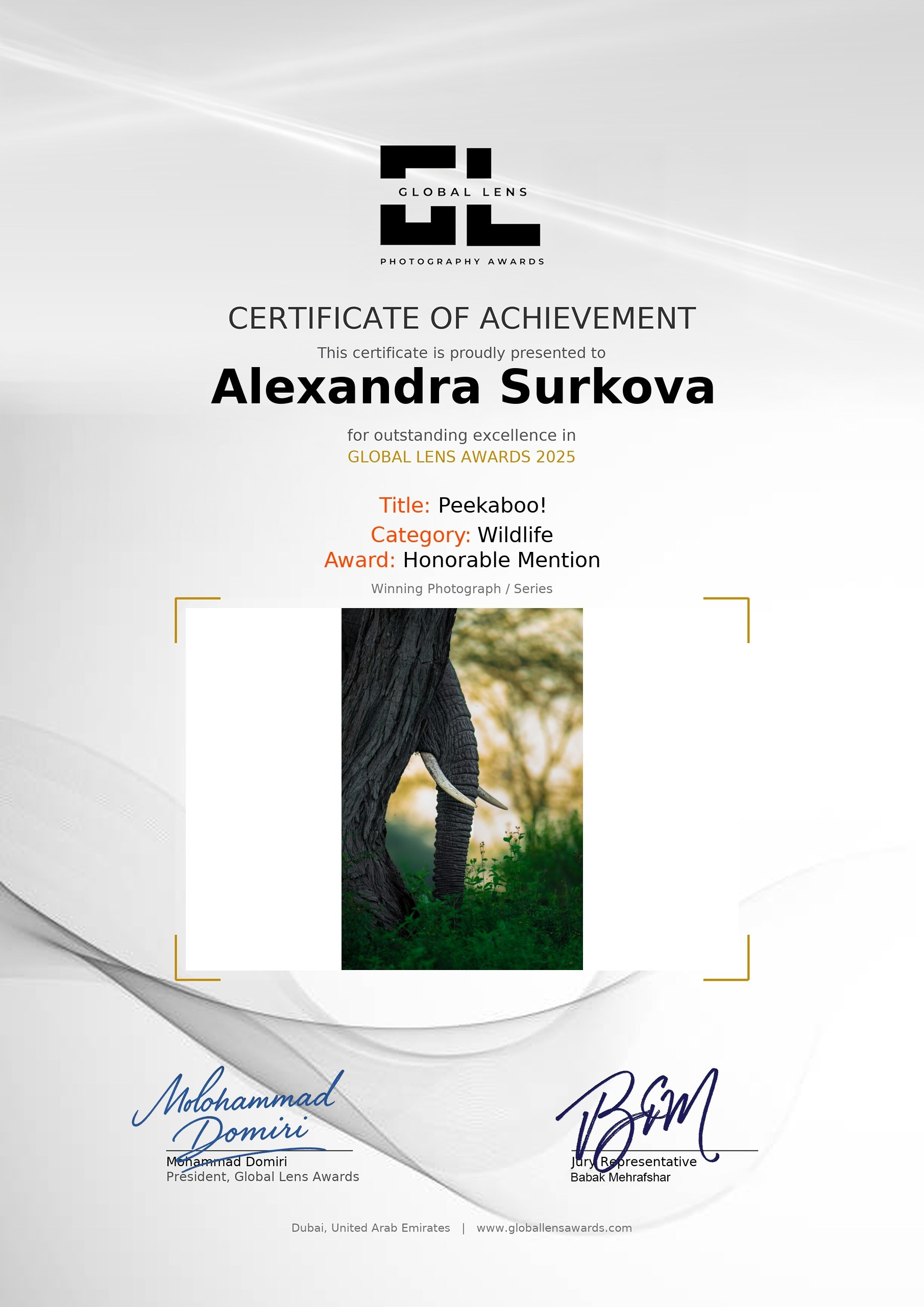 ABOUT. Fine art wildlife photographer Alexandra Surkova