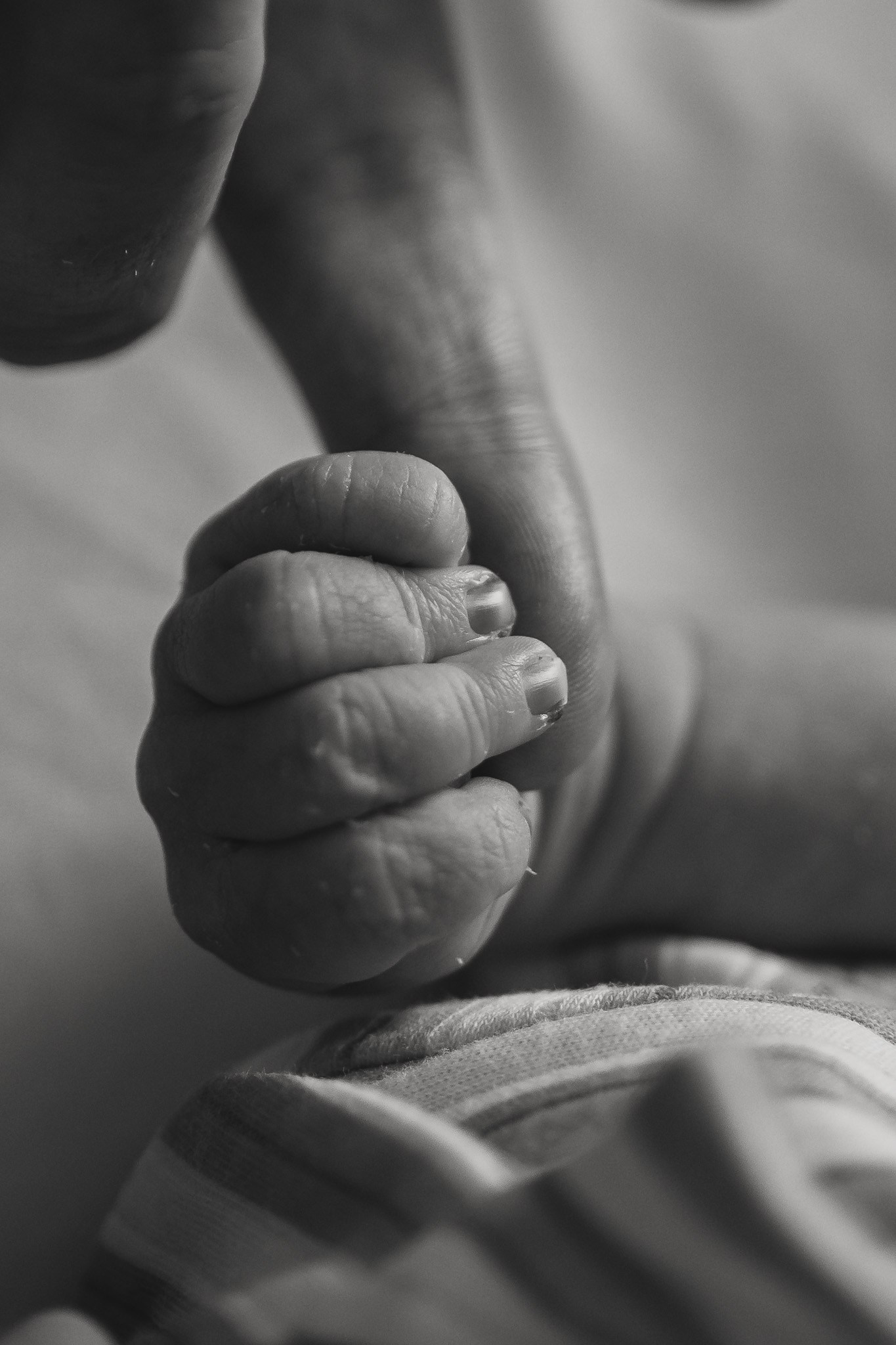 In home newborn. Newborn & Family Photographer