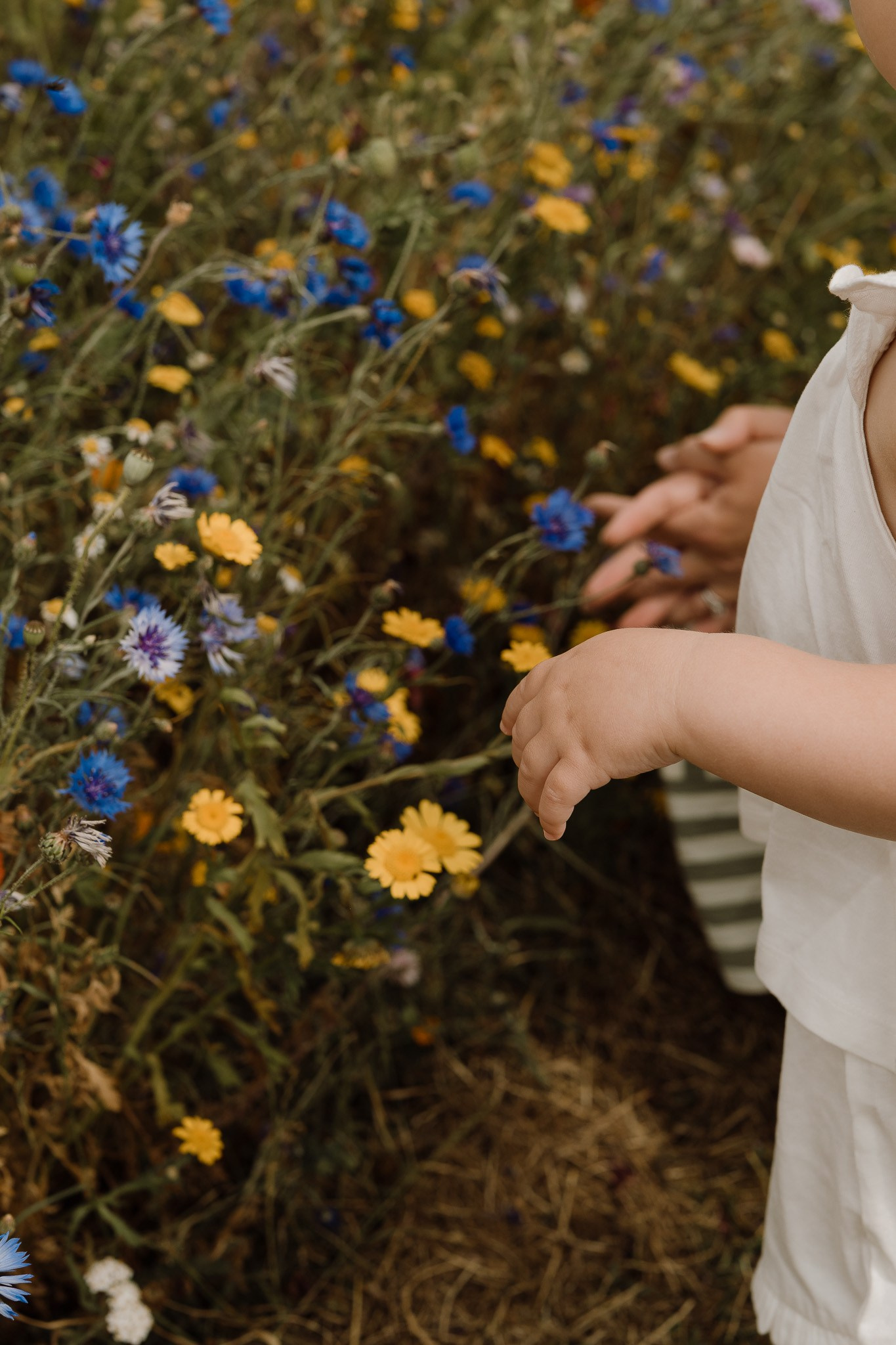 Outdoor Family. Newborn & Family Photographer