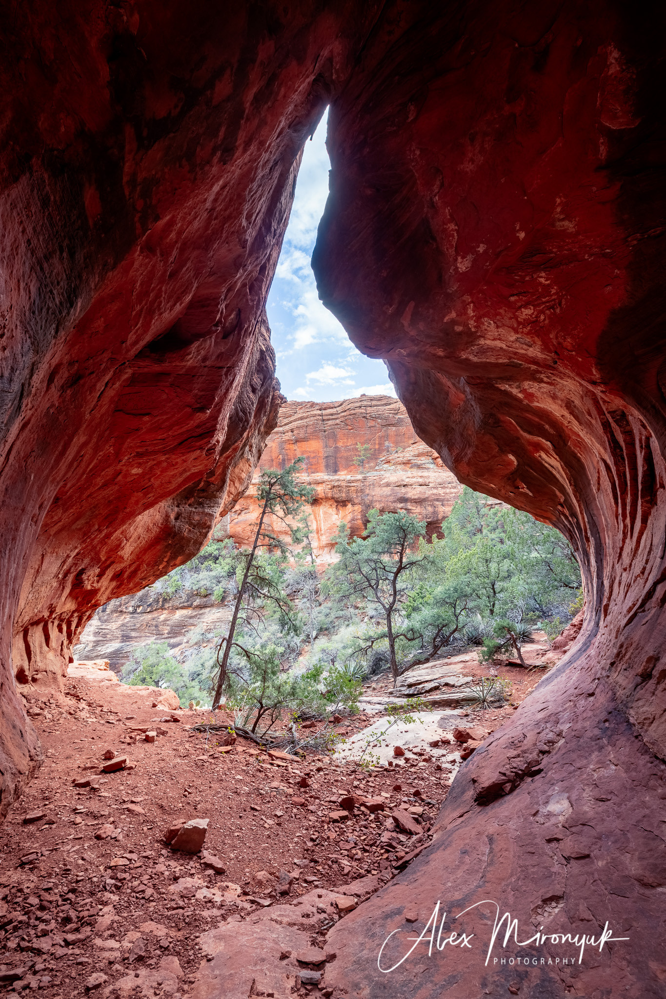 New Year In Sedona. Pet, Senior, Landscape, portrait studio, photographer in Miami and Sou