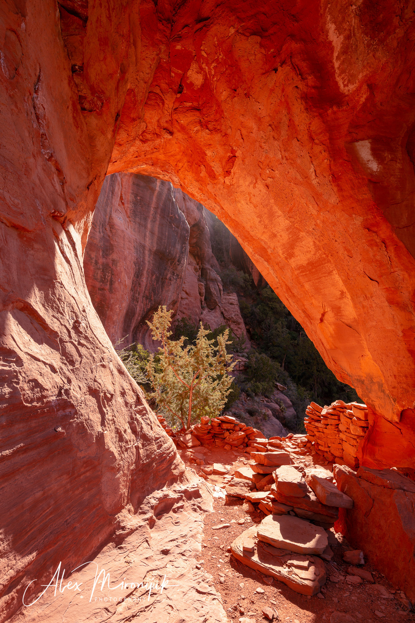 New Year In Sedona. Pet, Senior, Landscape, portrait studio, photographer in Miami and Sou