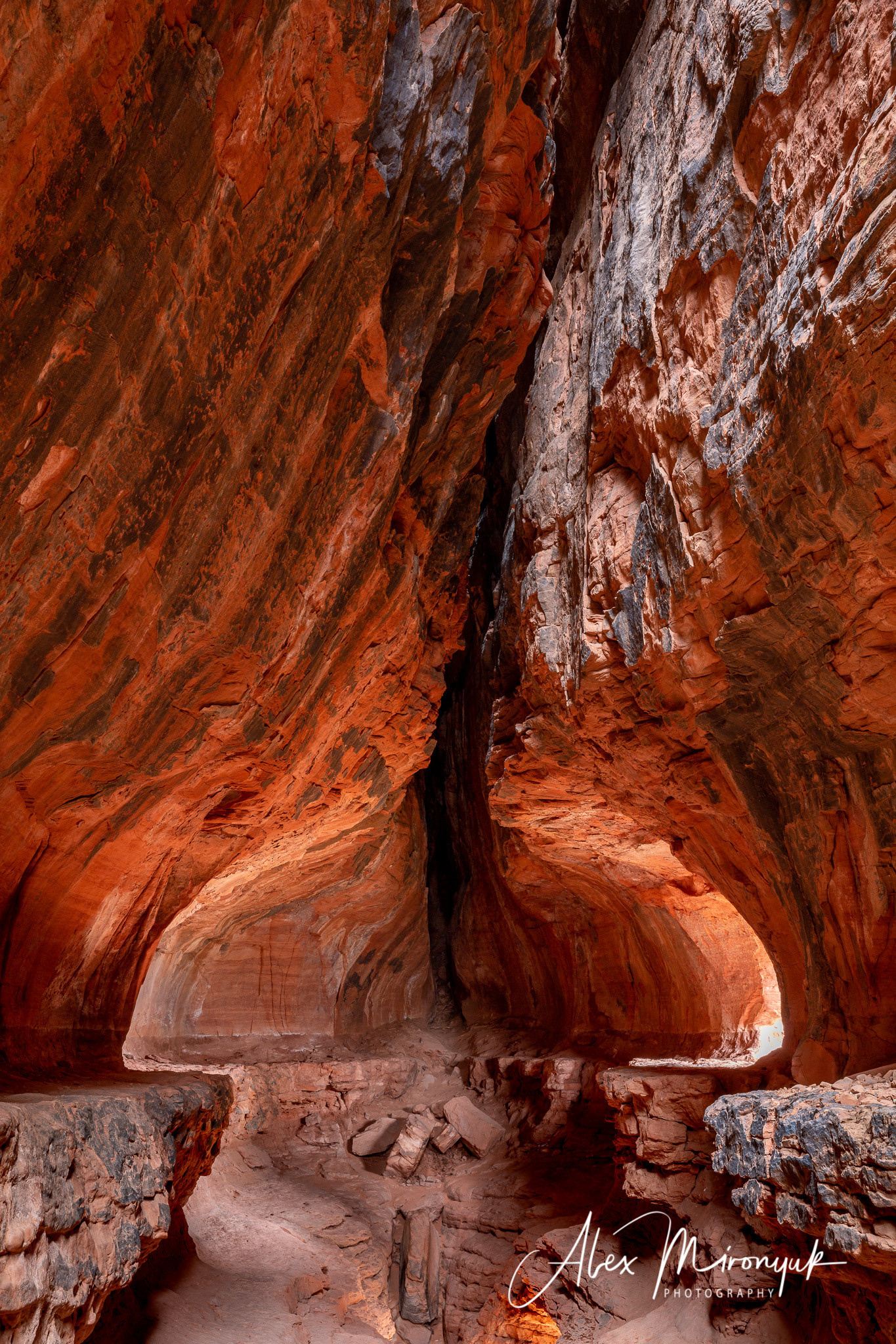 New Year In Sedona. Pet, Senior, Landscape, portrait studio, photographer in Miami and Sou