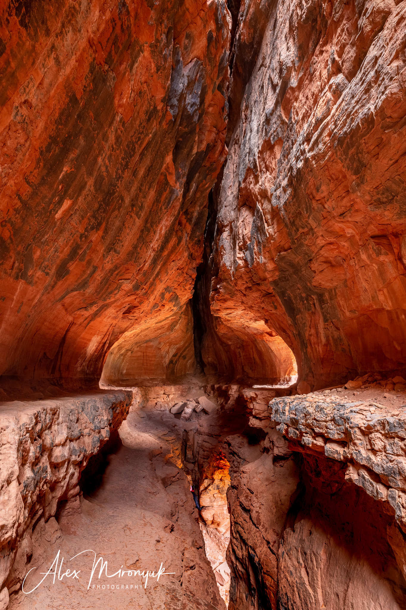 New Year In Sedona. Pet, Senior, Landscape, portrait studio, photographer in Miami and Sou