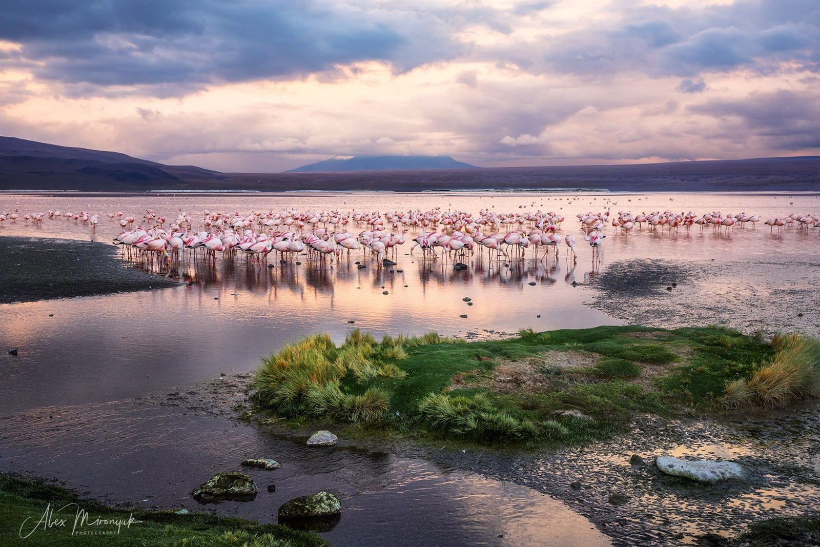 Bolivia Adventure — 2025. Pet, Senior, Landscape, portrait studio, photographer in Miami and Sou